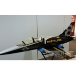 JTM L-39 Albatross (Jet Team)